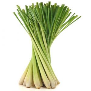 Organic Fresh Lemongrass