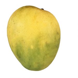 Organic Mango Banganapalli