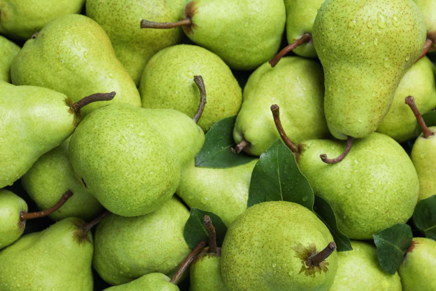Organic Pears