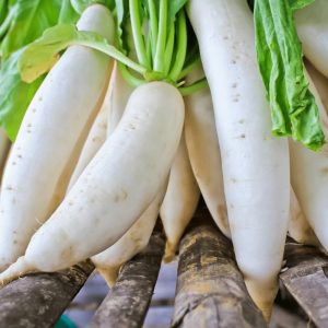 Organic White Radish | Mullangi