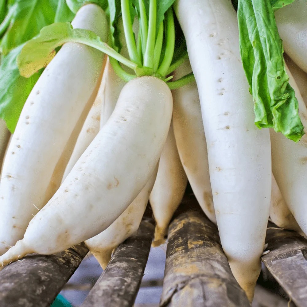 Organic White Radish | Mullangi