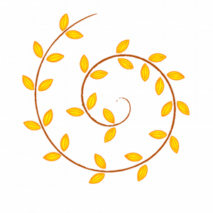 Aloe Haldi Soap | Aloe Turmeric Soap