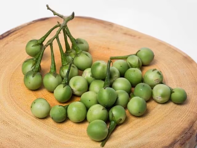 Organic Fresh Sundakkai