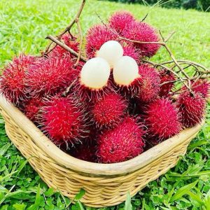 Organic Rambutan