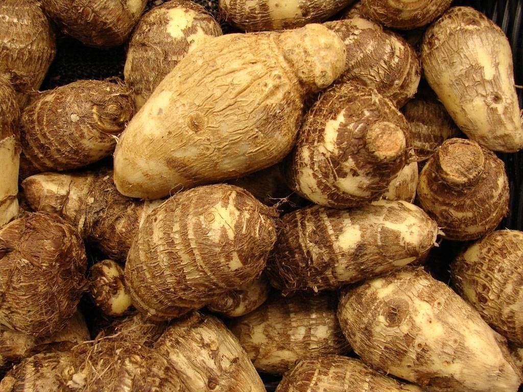 Organic Pidi Karunai Kilangu