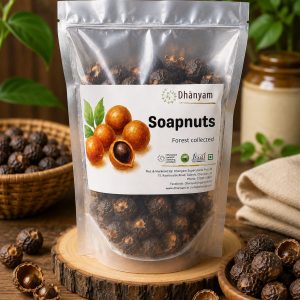 Soapnuts | Boondi Kottai | Reetha Seeds